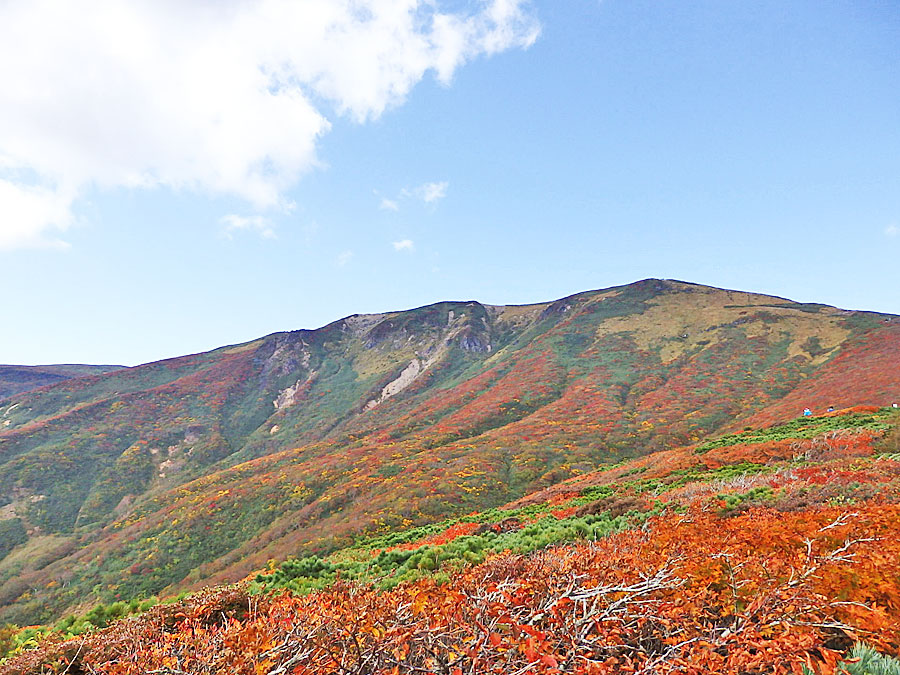 栗駒山紅葉が「神の絨毯」と賞される東北の名山-ヤマレコ