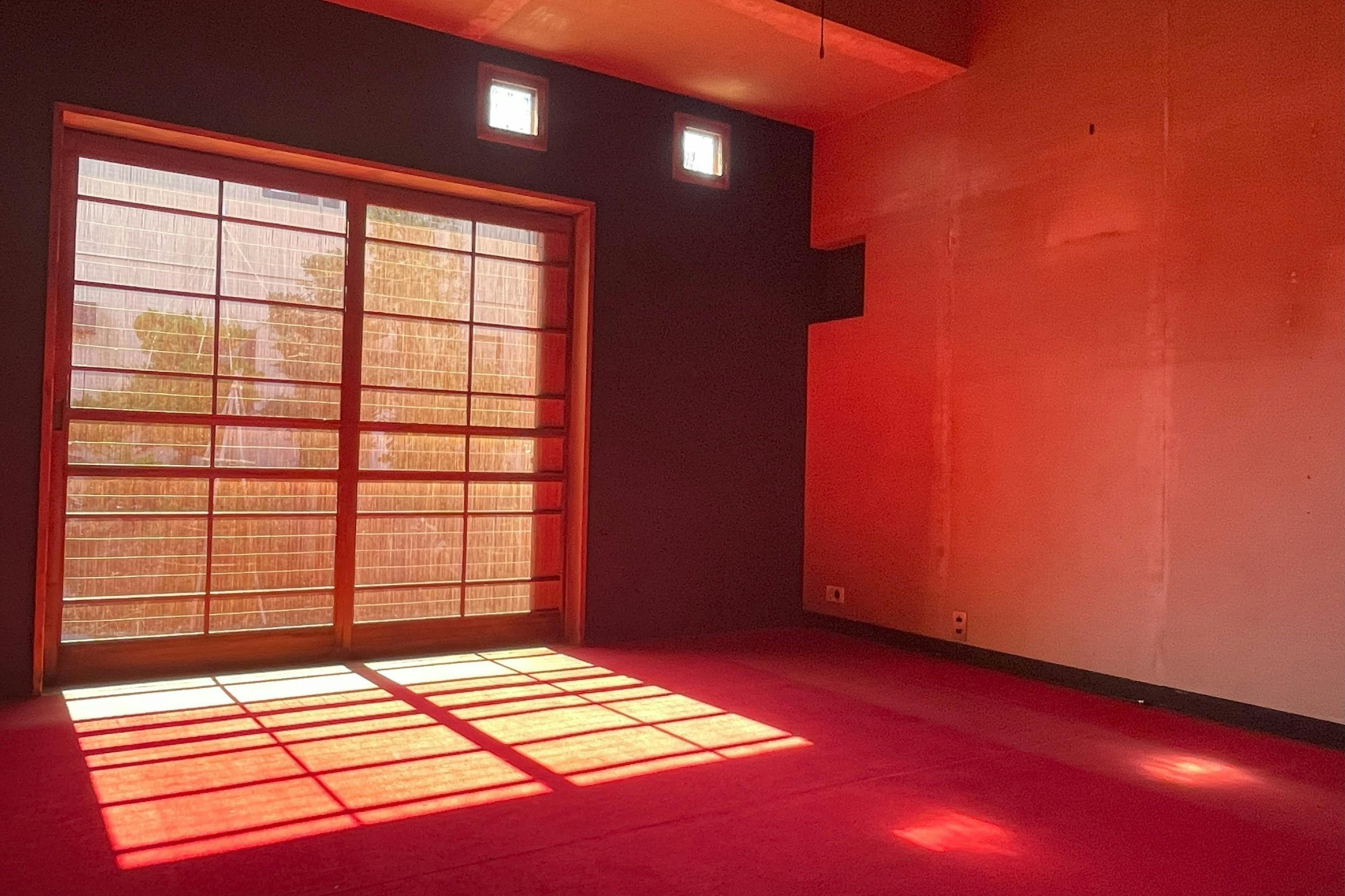 鳥取市の公園でスリル体験!?「ミステリーハウス」の世界へようこそ日刊Lazuda ラズダ-島根・鳥取を知る、見る、食べる、遊ぶ、暮らすWebマガジン