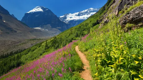 秋のレイクルイーズMaplefunトラベルビジョン株式会社