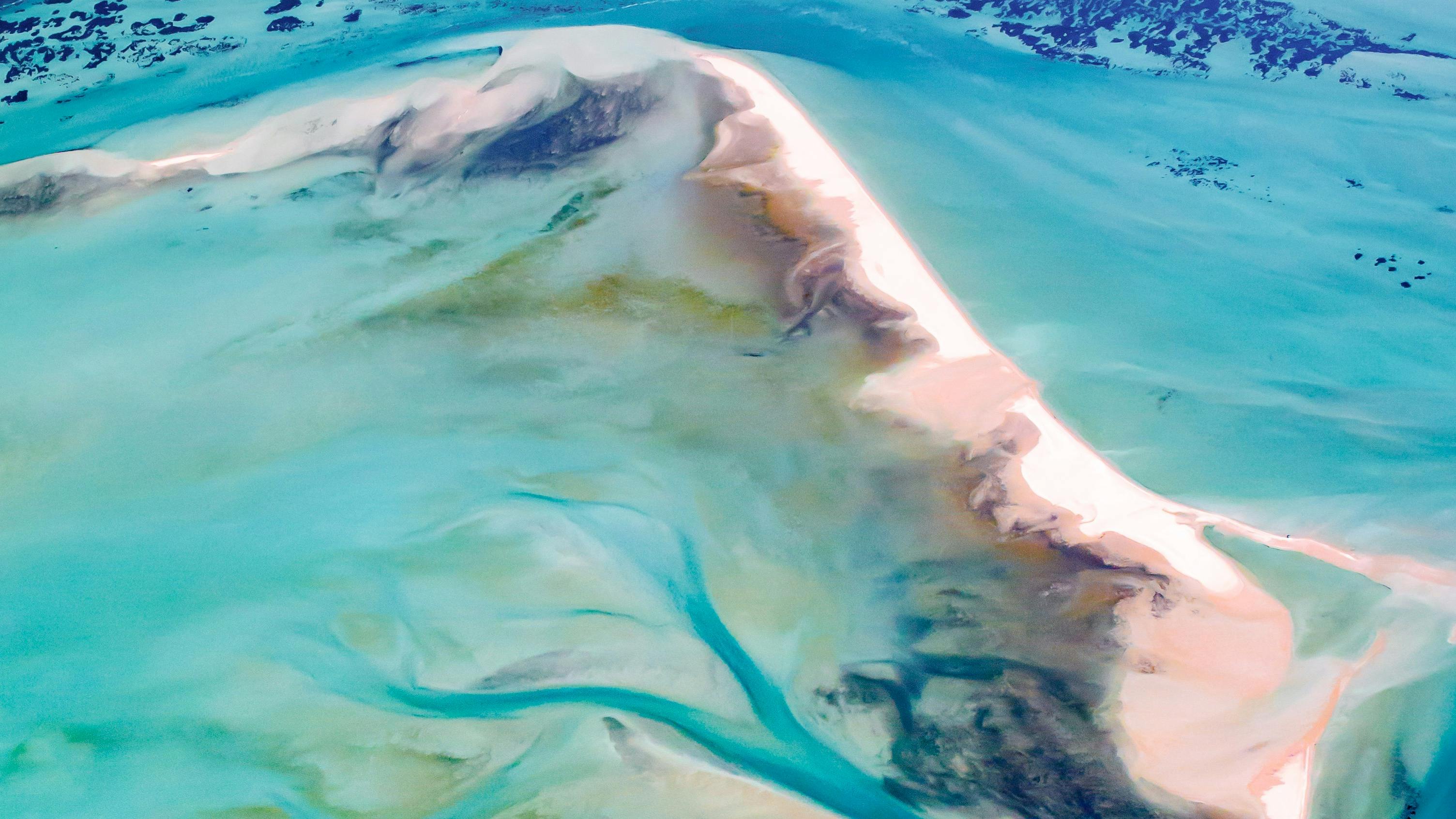 RAC モンキー マイア ドルフィン リゾート モンキー・マイア ： 最新料金：2025年