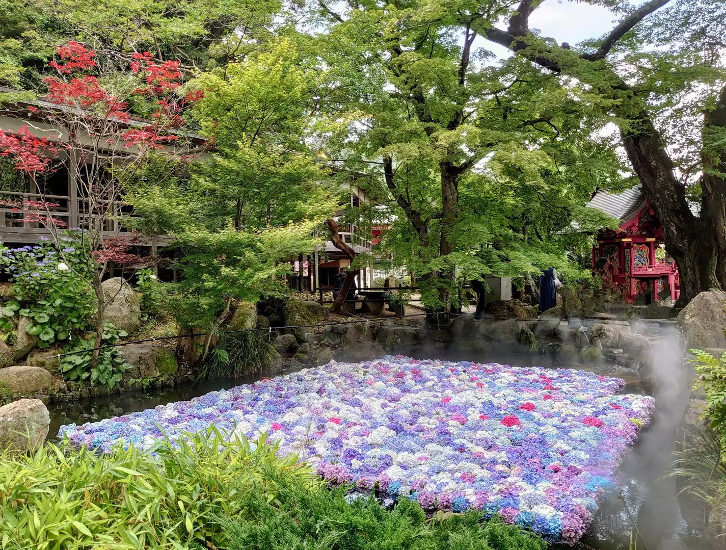 岩瀬駅から御嶽山・雨引山・雨引観音を縦走 あじさい祭 2022 6 16～2022 7 10