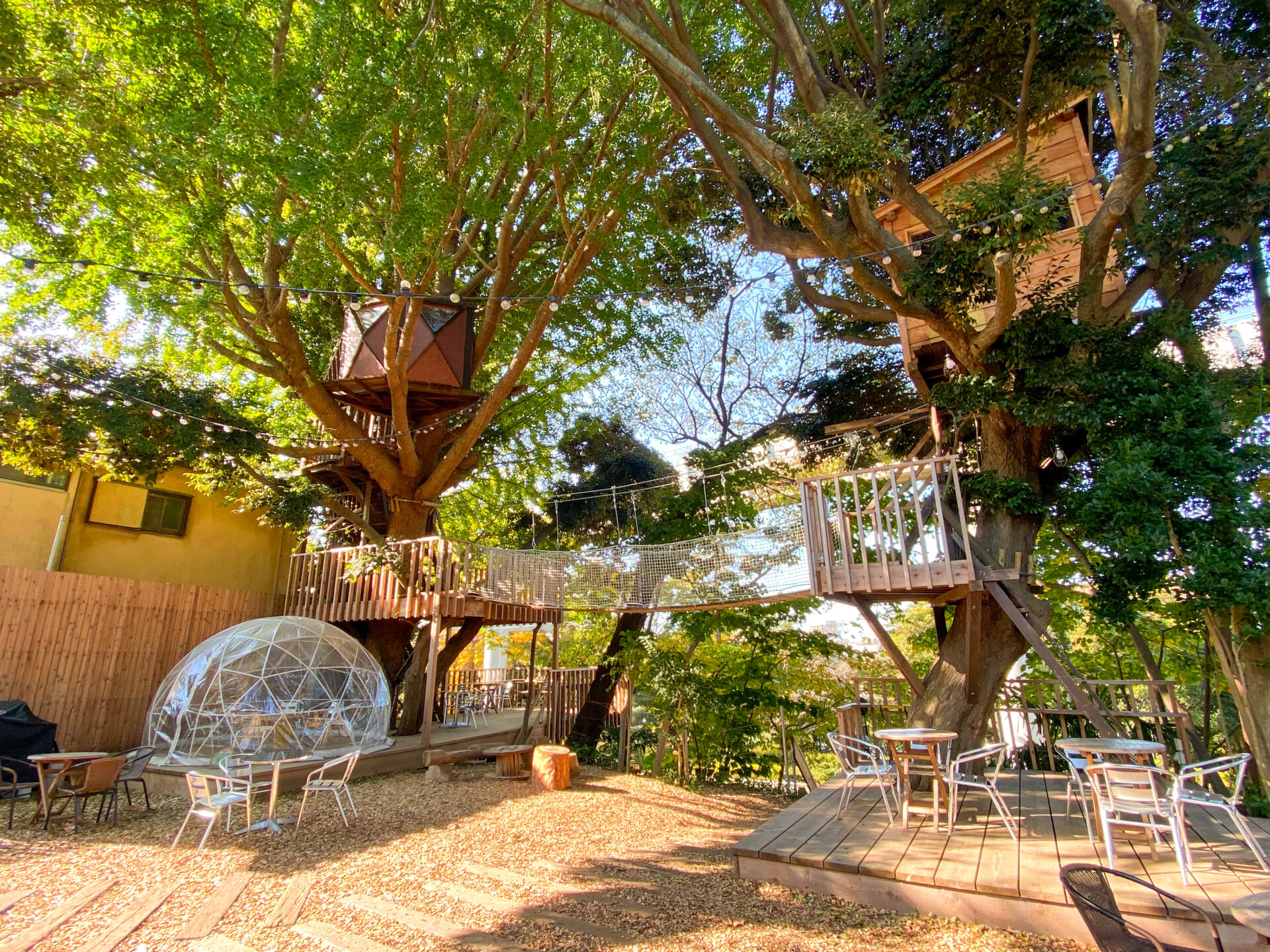 万博公園 おしゃれカフェが万博公園にいっぱい ～ノイ カフェneu cafe: 自己中心食日記 Powered by ライブドアブログ