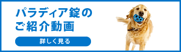 パラディア錠 [ゾエティス・ジャパン] 10の通販