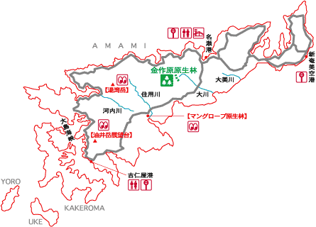 金作原国有林鹿児島の観光情報 よかガイドかごしま