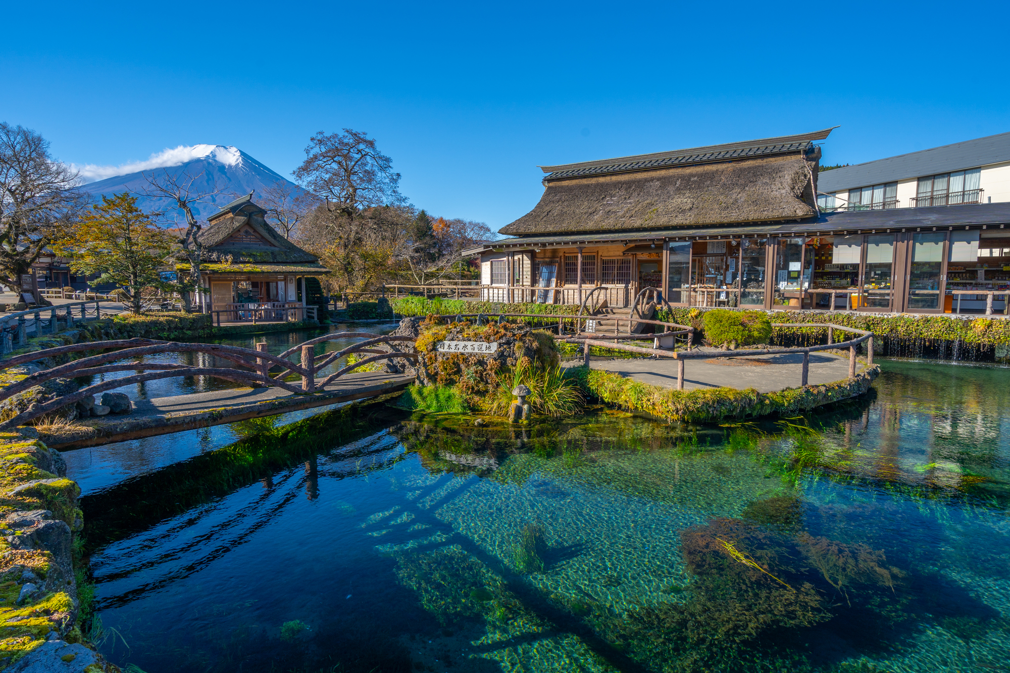 榛の木林資料館 クチコミ・アクセス・営業時間忍野 フォートラベル