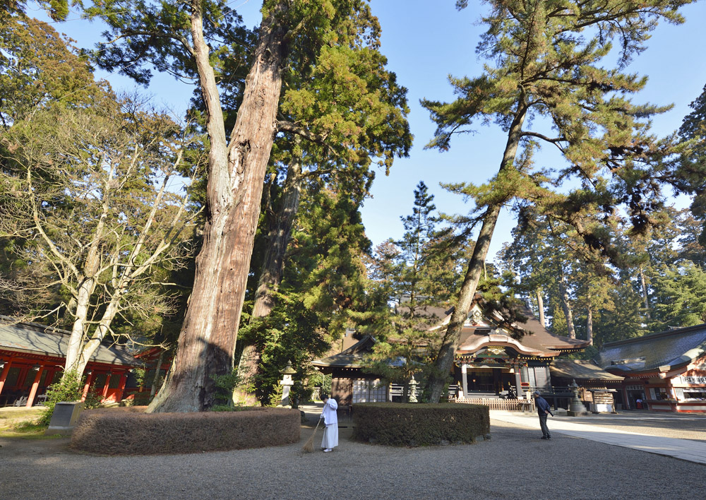 他の投稿を見る→@jinjatabi_nobave火 運気を上げる自分のパワースポット神社属性『火』人それぞれ相性があるパワースポットがあるのをご存知ですか？ 人が持って生まれた自然五元素である空・地・水・火・風の属性 に照らし合わせ提供される仕組みを『繭気属性 けん