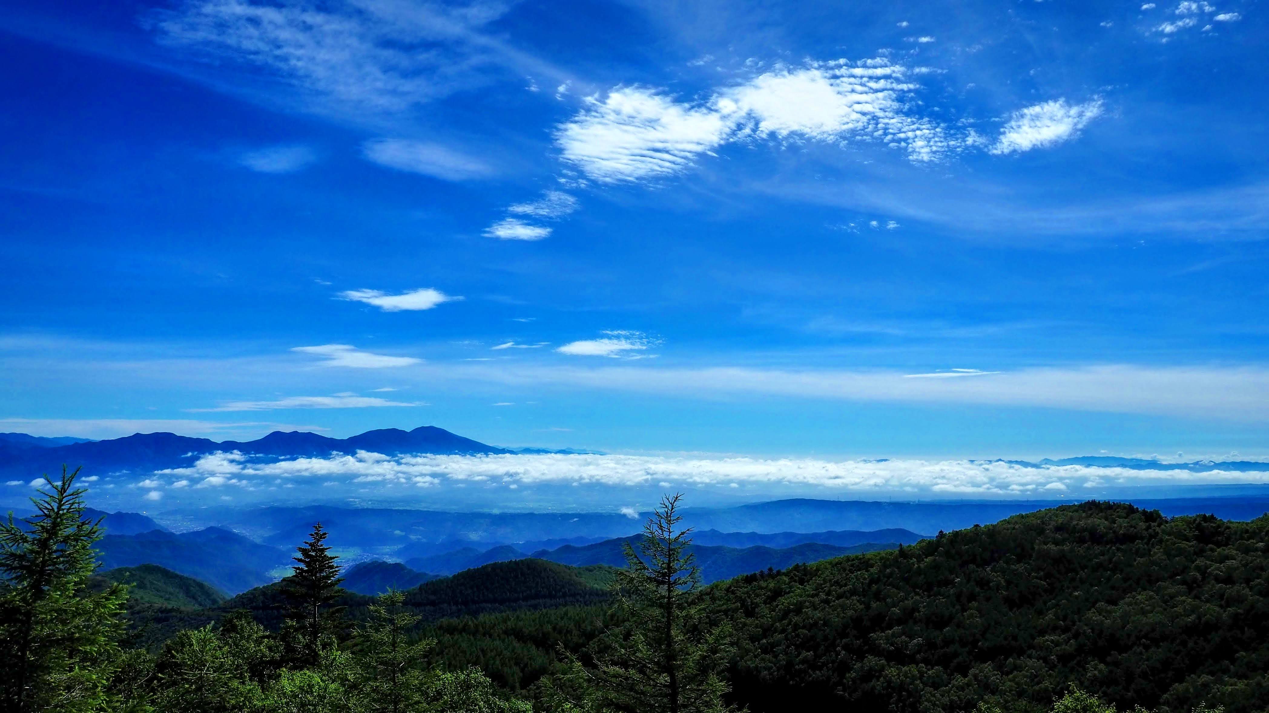 京急電鉄が21箇所101台分のみんちゅうを導入！不正駐輪のない美しい街へ！アイキューソフィア株式会社のプレスリリース