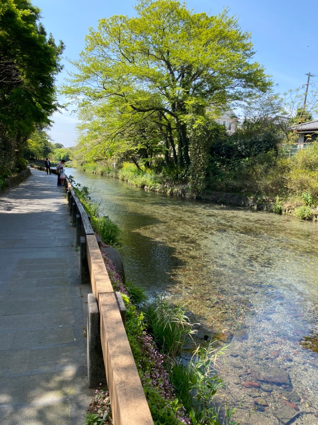 経路板（表：臨 水前寺公園～辛島町）（裏：臨 交通局前）