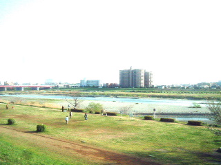 二子玉川駅に近い多摩川の兵庫島公園を撮る 世田谷区- たまプロ新聞