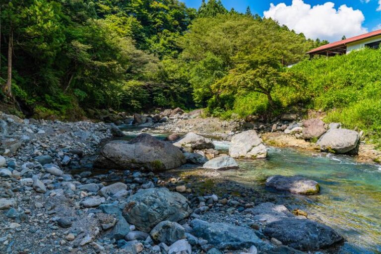 埼玉県 川遊びが楽しめるキャンプ場18選！Camp Navi -キャンプなび