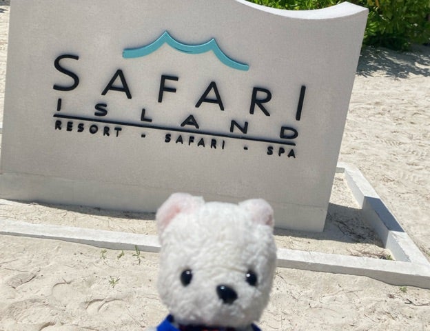 モルディブ旅行記2023⑩旅行費用・旅行準備についてYumi