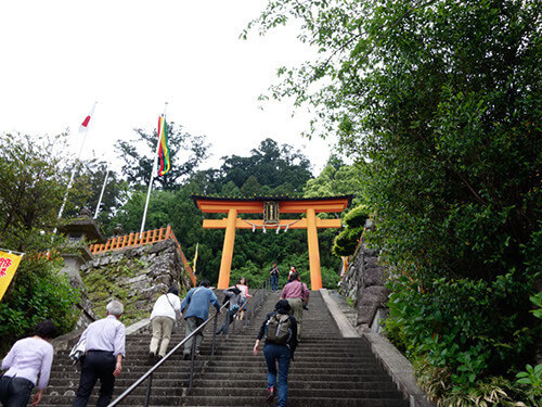 舞台をゆく：ヤタガラス伝説の地 熊野 W杯へ、勝利祈る参詣道毎日新聞