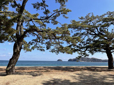 津田の松原 海水浴場 アクセス・営業時間・料金情報 - じゃらんnet