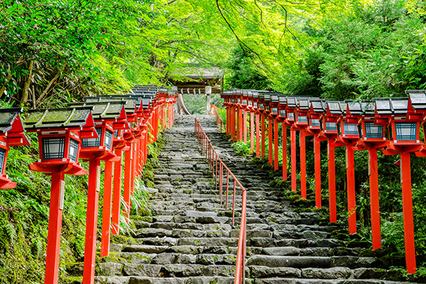 間人みなと公園 アソビュー！