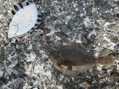 小樽 南防波堤「今日も根掛かり」に付き合わされて - 楽天ブログ
