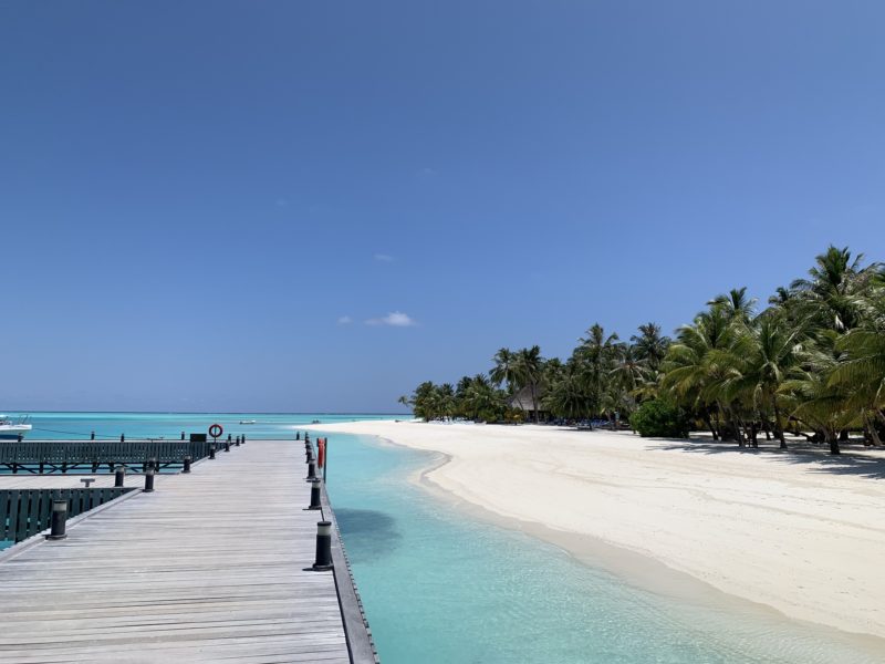 2025年最新 モルディブ旅行費用を完全解説！トラベルスタンダードジャパン
