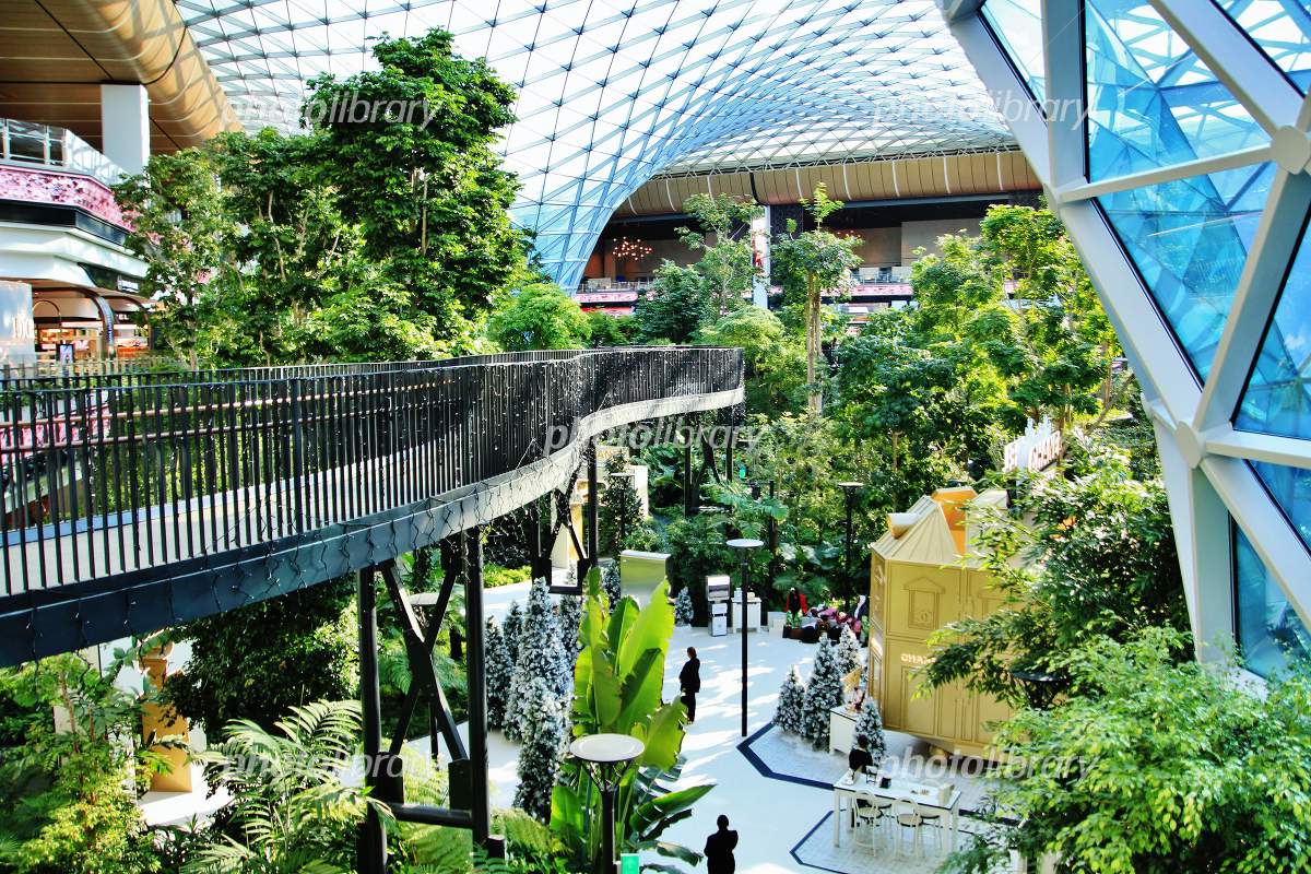 ハマド国際空港 カタール、ドーハ Hamad International Airport Doha, Qatar 📷SONY α7CII🔈SONY FE 24-50mm F2.8 G 💻PureRAW5Lightroomハマド国際空港ランプベア空港カタール航空ストリートスナップドーハカタールhamadinternationalairport