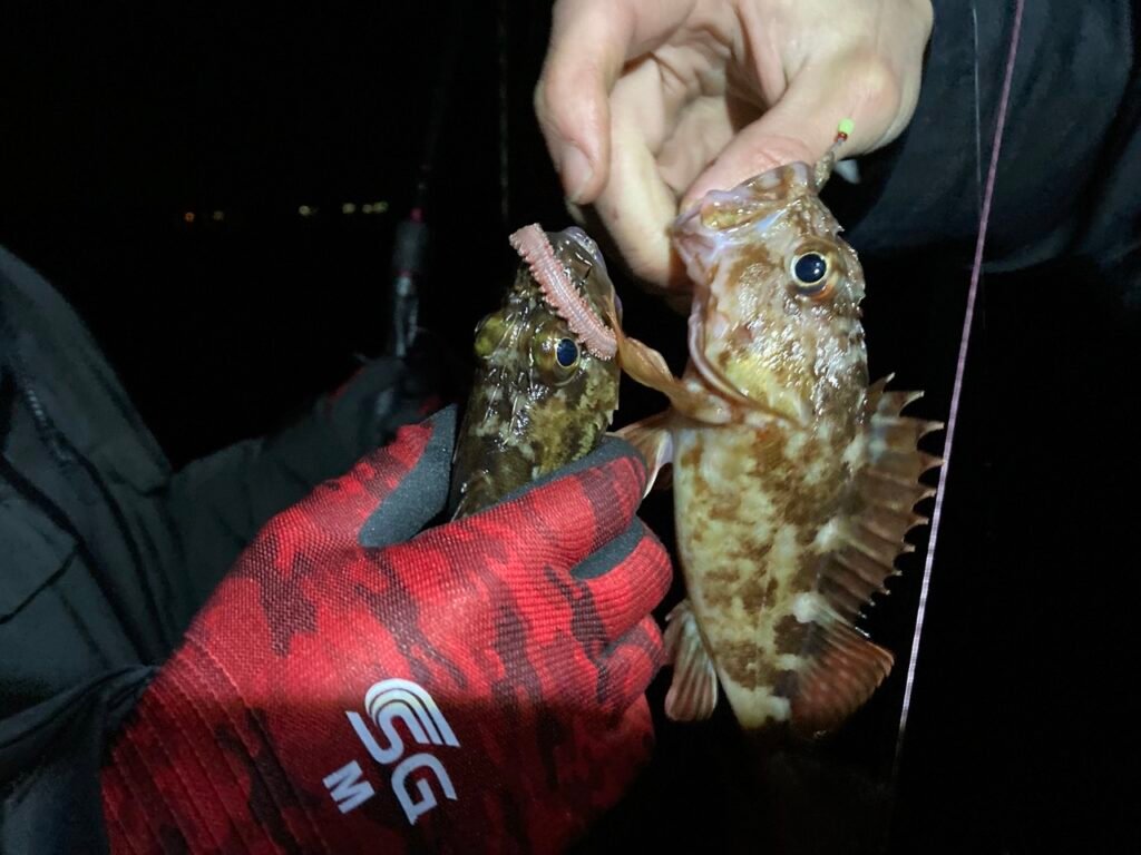 inukugi : blog:離島ミニ散策瀬戸大橋の足元にある島。与島探検後編