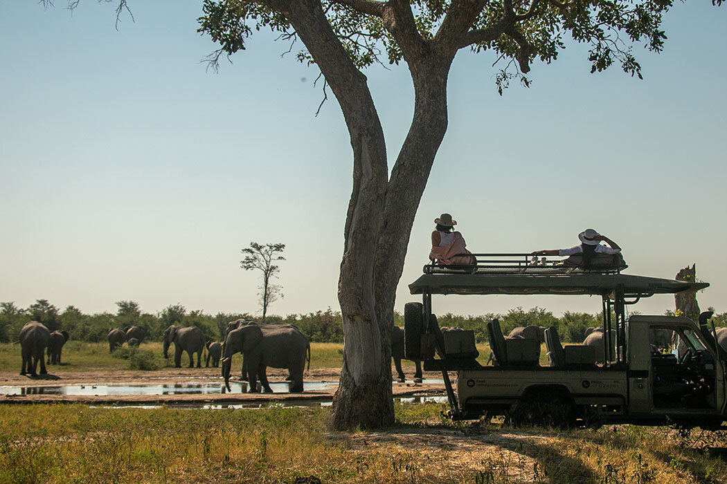 Gifte! 壮大なアフリカの大地で野生動物に巡り合う大自然サファリツアー！ in ケニア