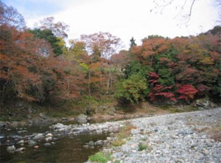 嵐山渓谷 の周辺スポット・アクセス・口コミ - Prism Japan