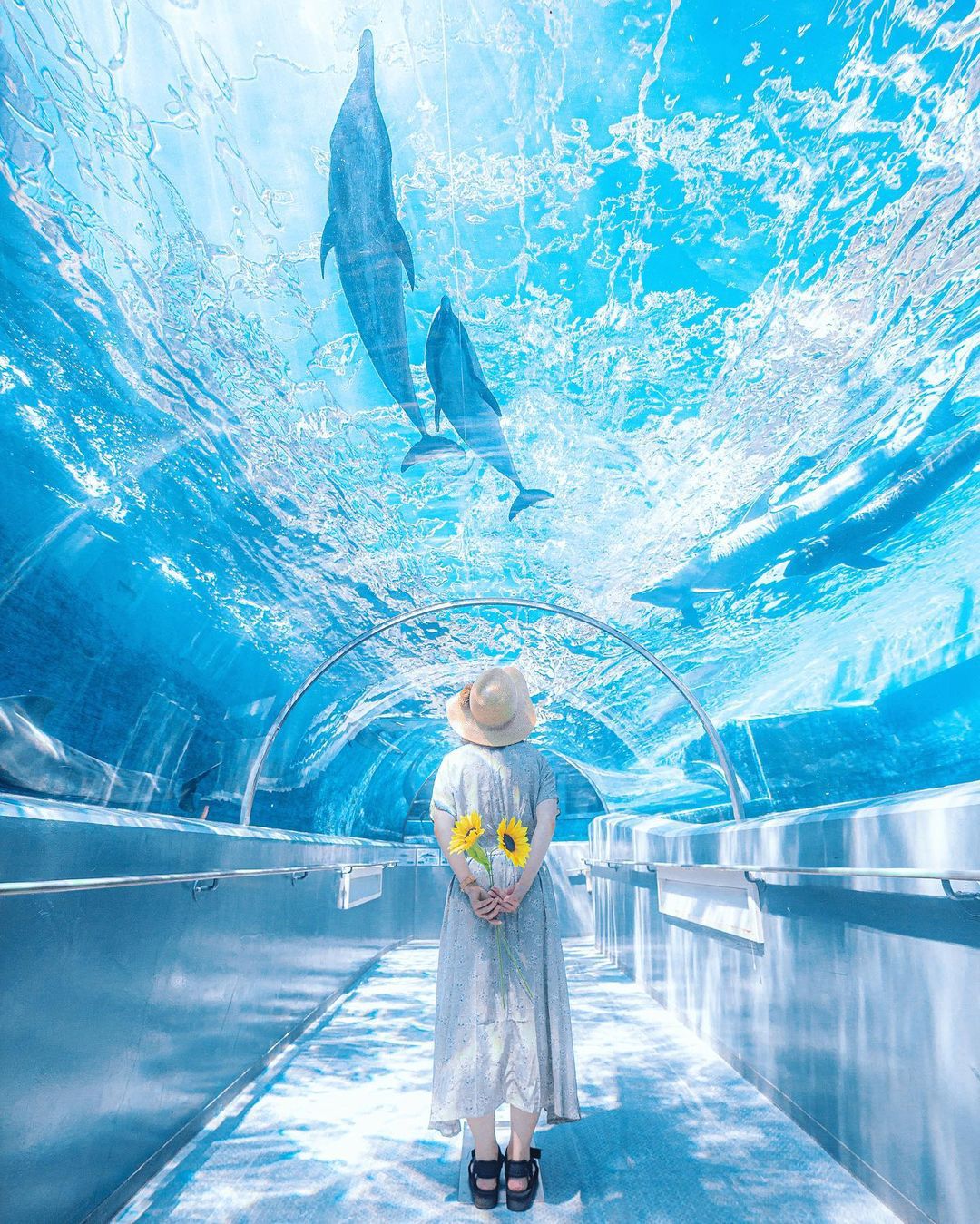 和歌山市デートスポット 絶景オーシャンビューと新鮮海の幸を楽しむカップル旅 - 縁結び大学