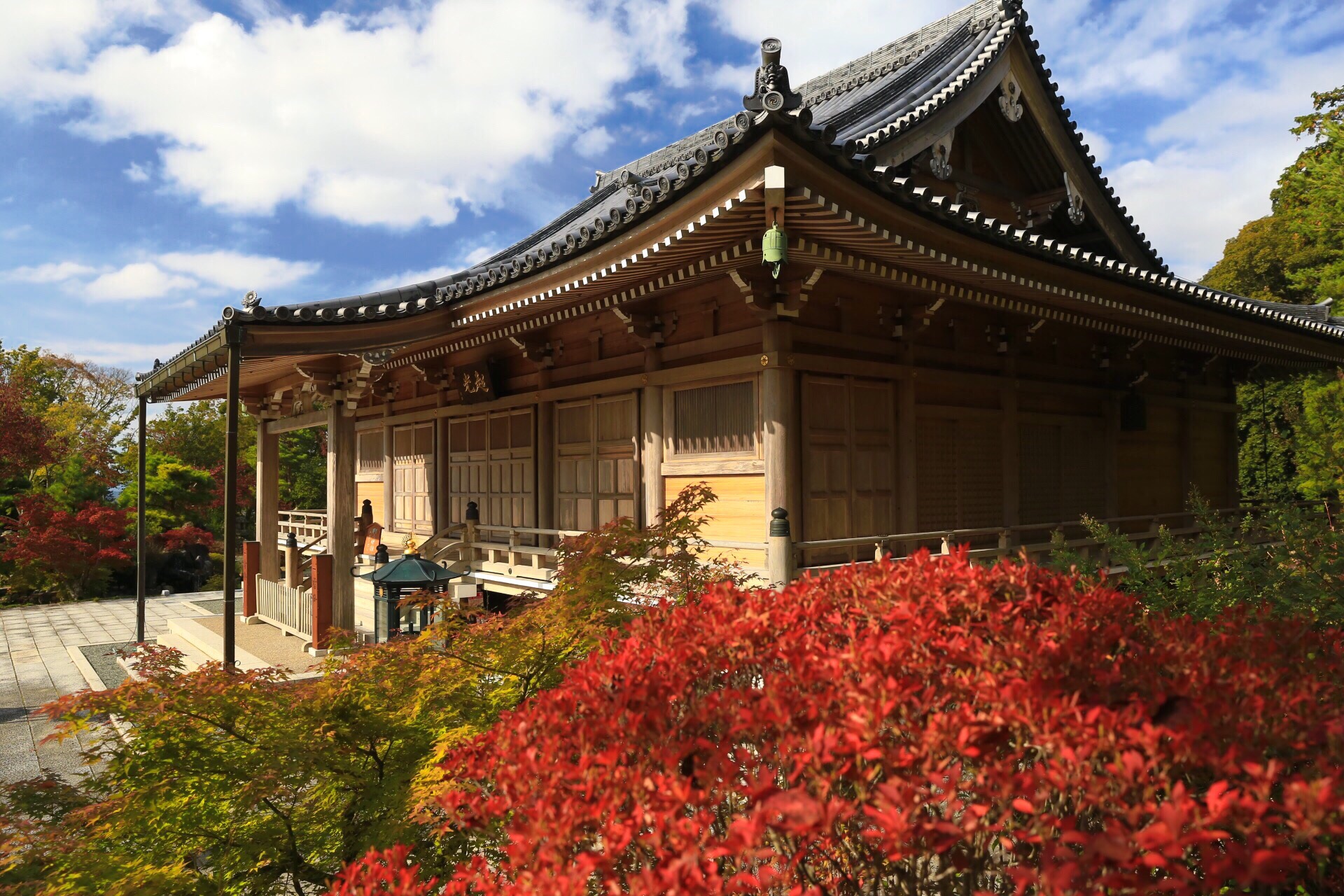 獨鈷山 鏑射寺きょろみかん