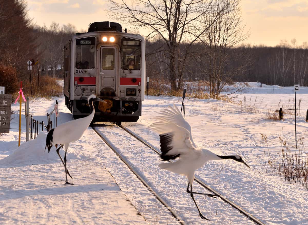 茅沼駅の写真素材写真素材なら「写真AC」無料 フリー ダウンロードOK