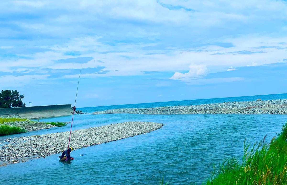 淡水小物釣り 魚種図鑑 小川や用水路で出会える代表魚14選魚種別釣りガイド