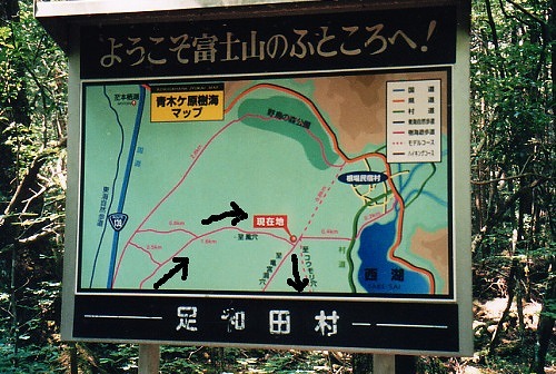 樹海レポート第二弾！青木ヶ原周遊コースをご紹介します⛰️サニーサイドアップ公式メディア「SUNNY DAYS」