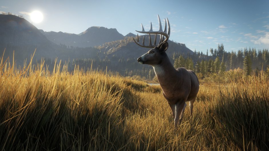 The Hunter: Call of the Wild reviewPC Gamer