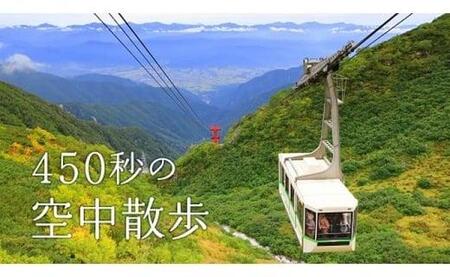 中央アルプス観光 路線車457号車 : エヌティーさんの検修庫 trans5885