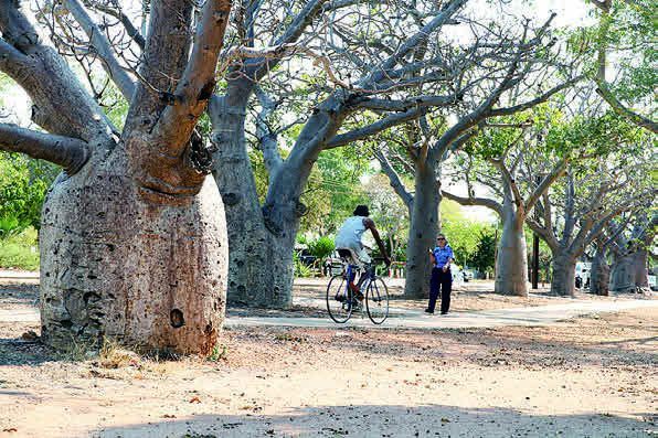 ブルームのケーブルビーチSOWHATの世界旅日記