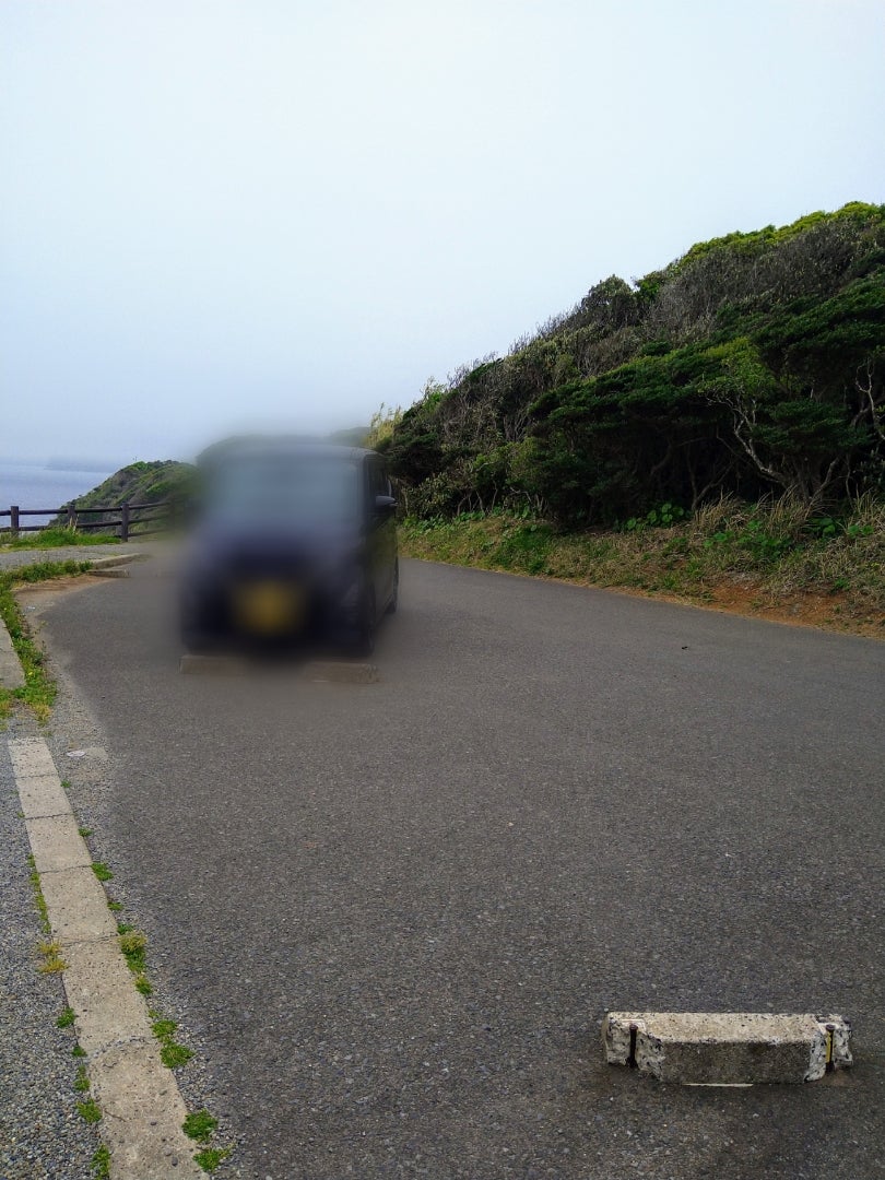 全国でも珍しい海が見える牧場 杉ノ原牧場🐂✨ 牛たちがのんびりと草原に寝そべる姿は まるで絵本の世界のようです🧚🏼‍♀️陸続きで行ける加部島の先端にあり ドライブコースにもぴったり🚗❣️ 遊歩道が整備されているので 穏やかな潮風を感じながら お散歩も楽しめ