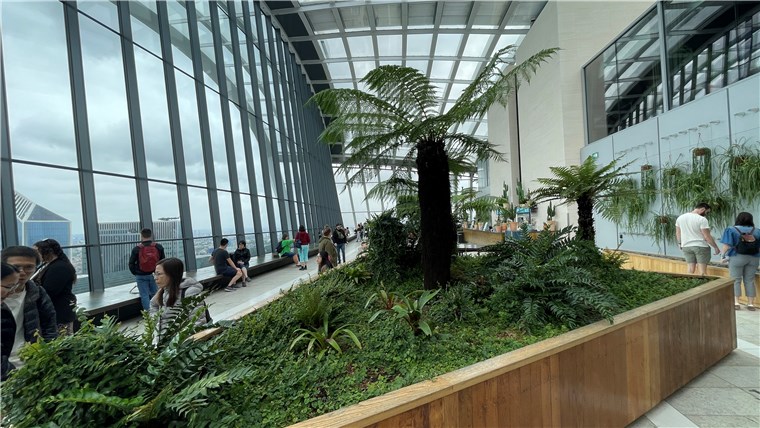 SKY GARDEN スカイ・ガーデン その４ みゅうロンドンブログオプショナルツアー・現地ツアーの みゅう