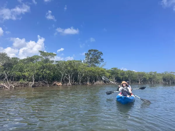 沖縄・石垣島・SUPorカヤック All Blue だけのツアー！特別区域ラムサール条約保護区 やいま村 のマングローブで大自然を体感♪SUP orカヤック 選べるプラン YSK アソビュ