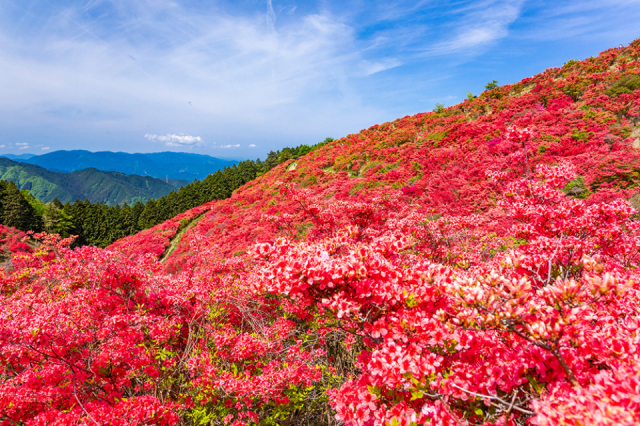 2025年夏 奈良の避暑地おすすめ13選！絶景の大渓谷や屋内スポットもPrettyOnline