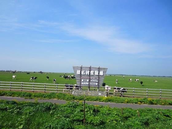 一般社団法人さるふつ村観光協会@sarufutsuPRX