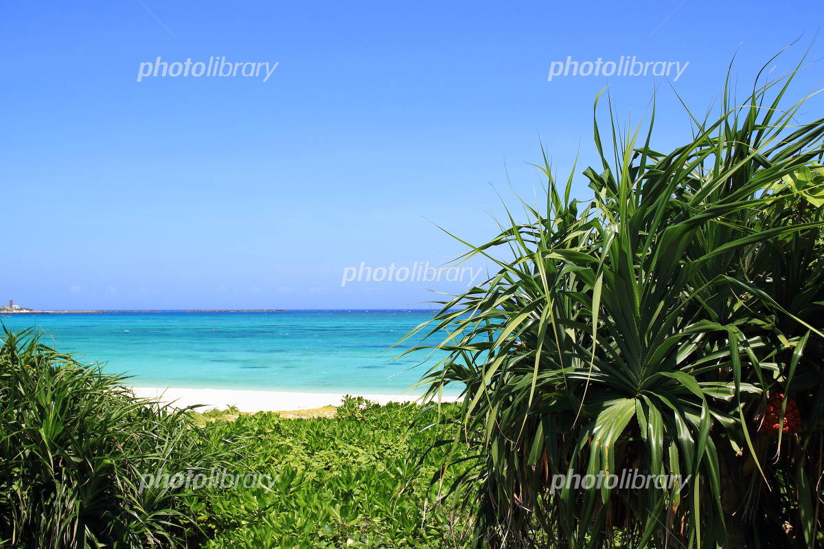 与論島内でも特別な砂紋の美しさを誇る海岸,ウドノスビーチ, 波打ち際から2～3mで延々と続く, このシャラシャラ感 表現が難しい は, 圧巻です,この美しい砂紋ロードでのウェディングなら, @cherish.wedding , 𓈒𓏸𓈒꙳𓂃 𓈒𓏸𓈒꙳𓂃 𓈒𓏸𓈒꙳𓂃𓈒𓏸𓈒꙳𓂃 𓈒𓏸𓈒꙳𓂃, カップル、ファミリー、グループ、女子旅撮影の直前のご依頼が増えております。,