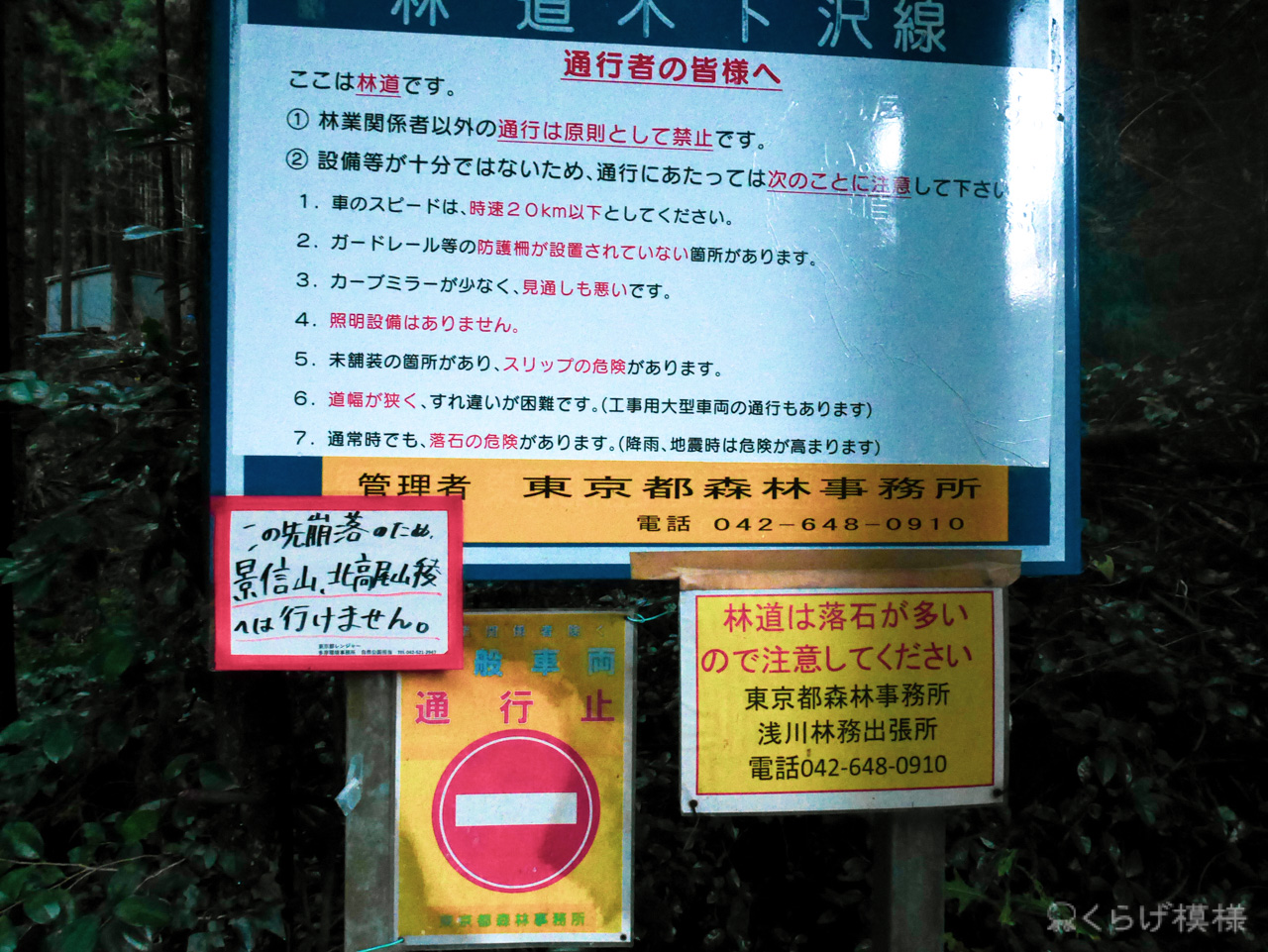 木下沢梅林から東尾根で景信山アットロードサイド