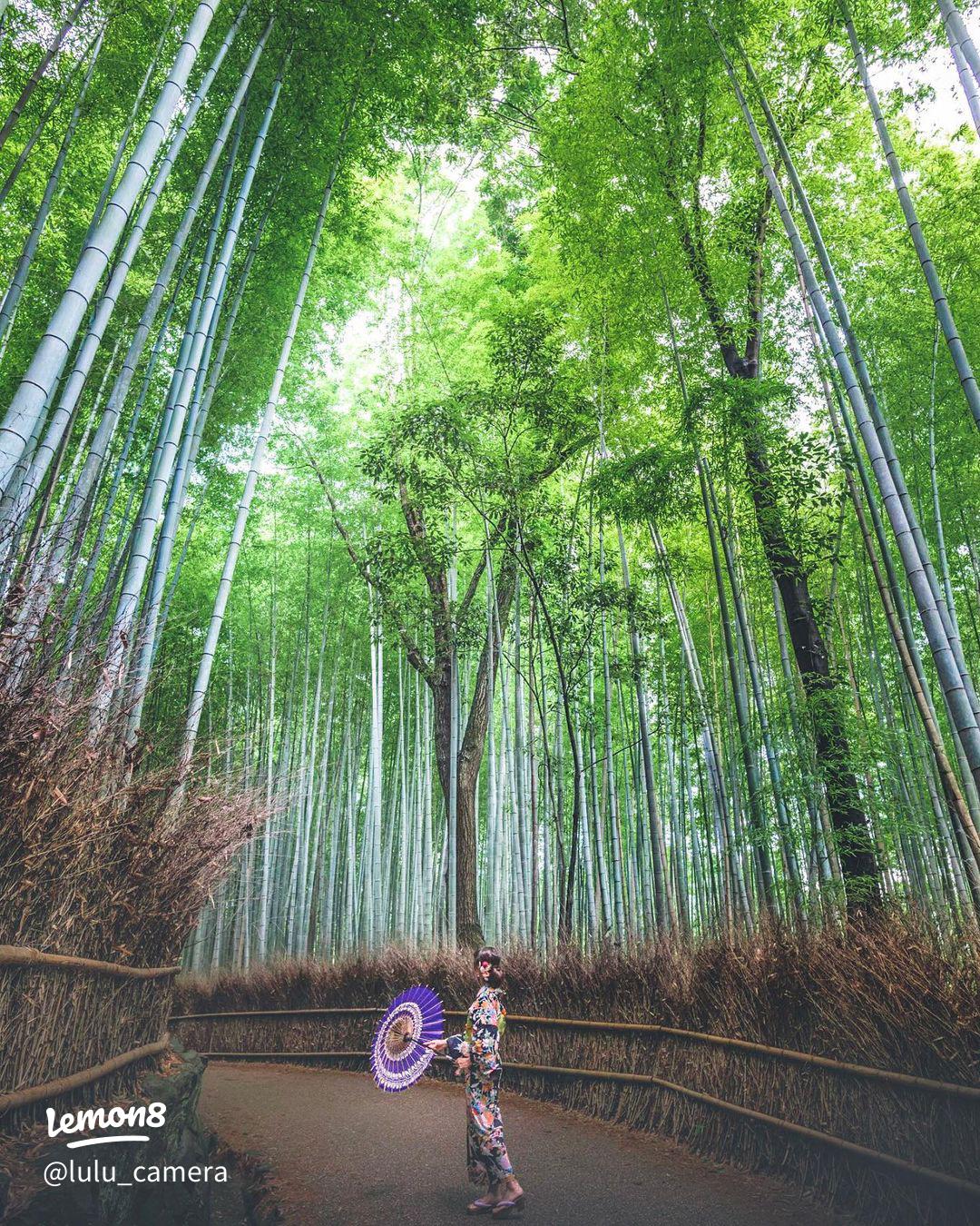 嵯峨野の竹林での前撮りのご紹介京都前撮り＊京weddingロケとスタジオのフォトウェディング