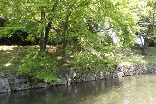 彦根-2 彦根城屋形船a お堀をめぐり 10時発 ☆名案内を聞き、ゆったり50分』彦根 滋賀県 の旅行記・ブログ by マキタン２さん フォートラベル