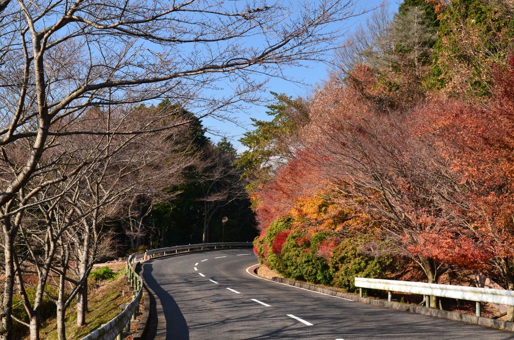 g.v.w bike life・ 比叡山ドライブウェイ🏍 夢見が丘展望台から眺める 琵琶湖と大津や草津の街並み🫶空がまた霞んでたけど黄砂？🥹比叡山ドライブウェイ滋賀ツーリング写活ツーリングネイキッドバイクバイク女子バイク好きバイク乗りと繋がりたい