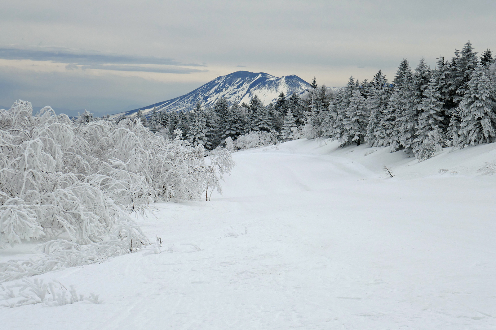 パルコール嬬恋リゾートからゴンドラで登る四阿山 2022.07.24zizibabaのトレッキングと彼是