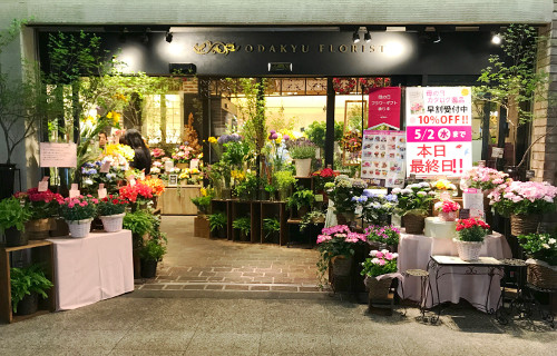 Fleurage un フルラージュアン 新宿本店新宿区 新宿 の花屋 - ボタニーク