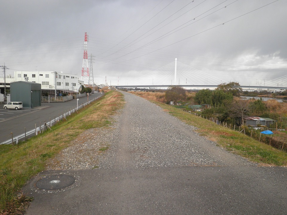 春の輪行サイクリング、南足柄へ春めき桜をもとめて相模川サイクリングロード