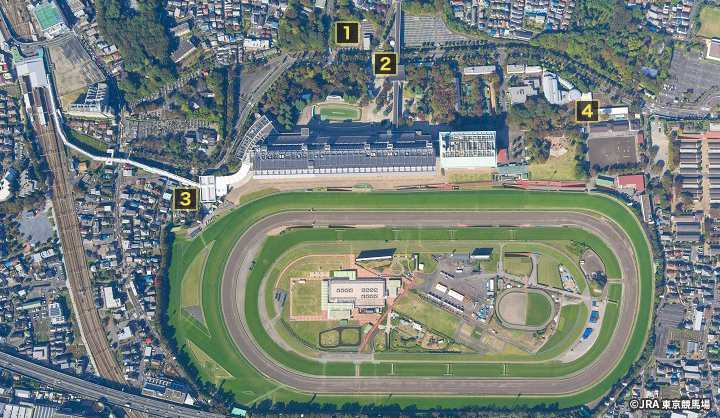 盛岡競馬場競馬場ガイド地方競馬情報サイト