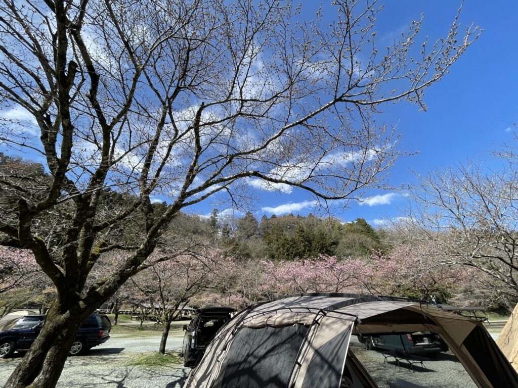 青野原オートキャンプ場 予約不要でデイキャンプ、道志川で川遊び＆バーベキュー - らくキャン SAGAMIHARA