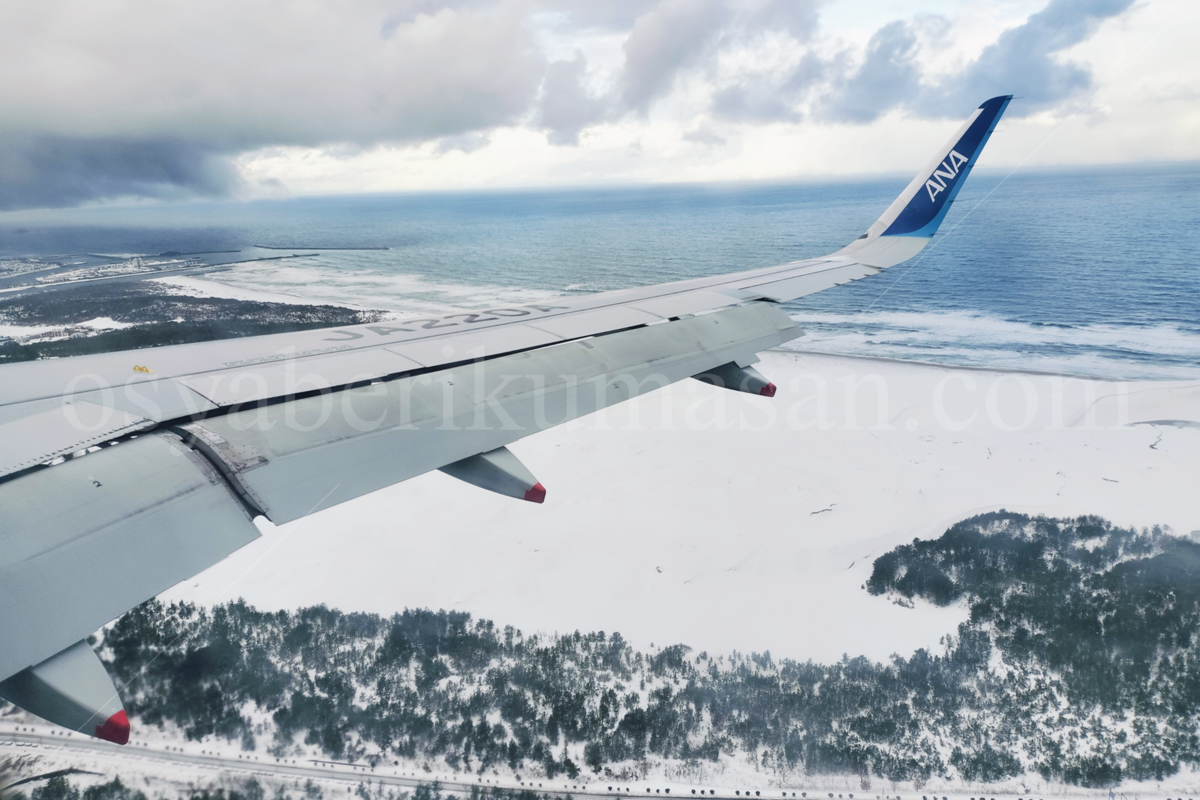 100カメ ✈舞台は羽田空港✈ オードリーも驚く！密着！巨大空港の舞台裏！ - リリース情報 - １００カメ - NHK