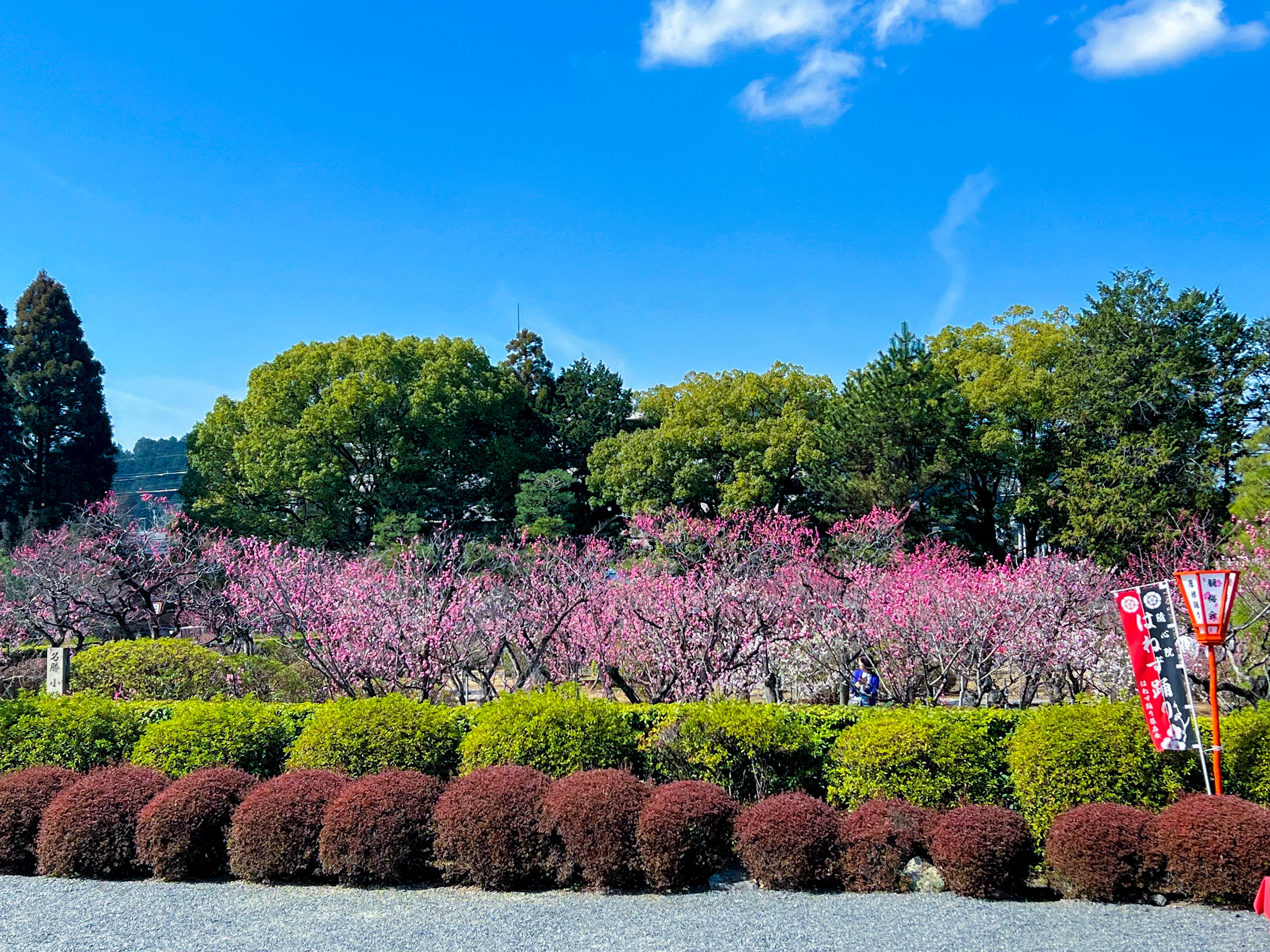 山科で人気の遊び・体験・観光スポットランキングTOP24 山科・遊び・体験・観光スポット