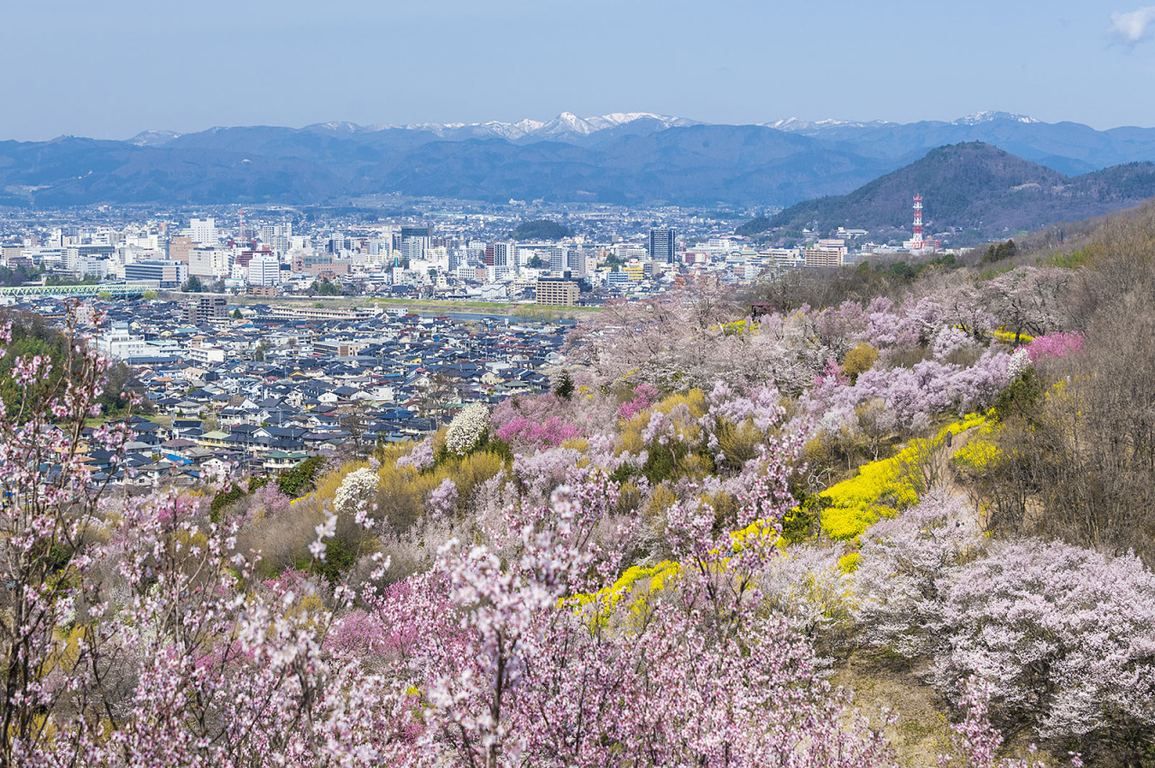 賑やかな繁華街が集う福島市代行ナビ